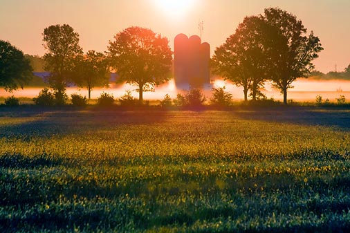 Silos In Sunrise Mist 19653
