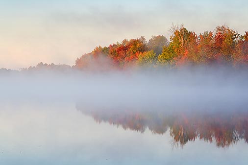 Misty River Morning 19808