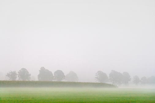 Foggy Fields 19853