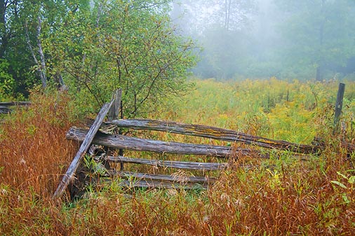 Old Fence 19862