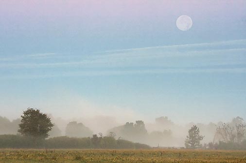 Morning Ground Fog 19971