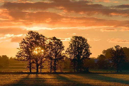 Sunrise Shadows 20080918