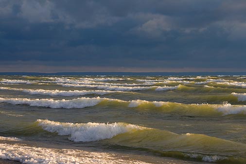 Surfs Up 23907