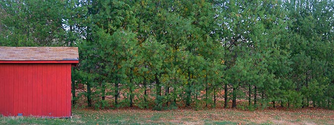 Red Shed Pano 20081031