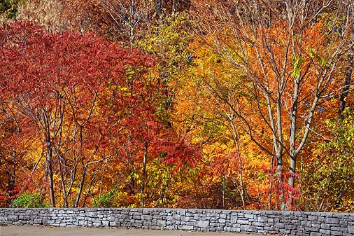 Autumn Along The Trace 24542