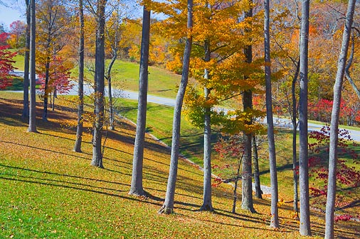 Natchez Trace Parkway 24620