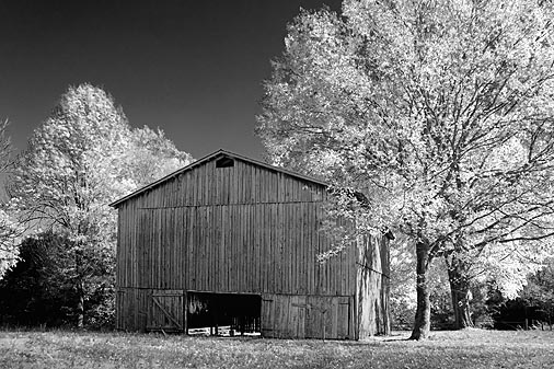 Autumn Tobacco Barn 24795 (faux IR)