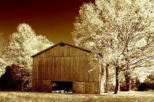 Autumn Tobacco Barn 24795 (pseudo IR tinted)