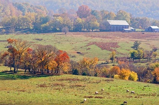 Duck River Valley View 24745