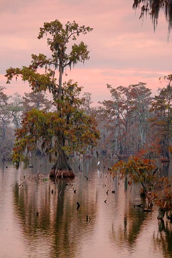 Lake Martin At Sunrise 25369