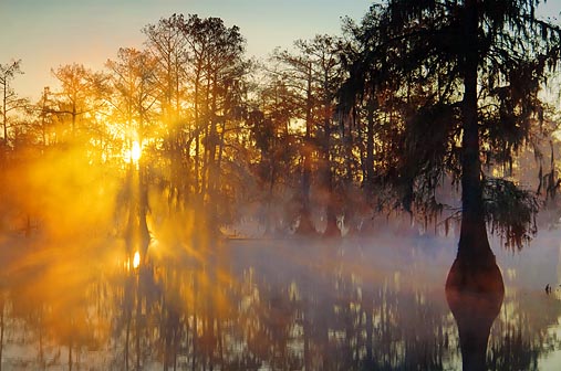 Misty Lake Martin Sunrise 25802