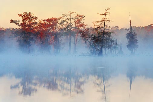 Misty Lake Martin At Sunrise 20081116