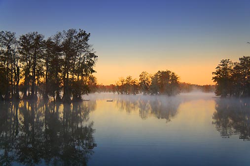 Misty Lake Martin At Sunrise 25710