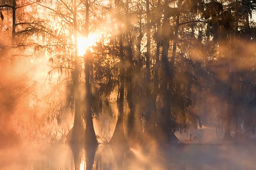 Misty Lake Martin Sunrise 25820