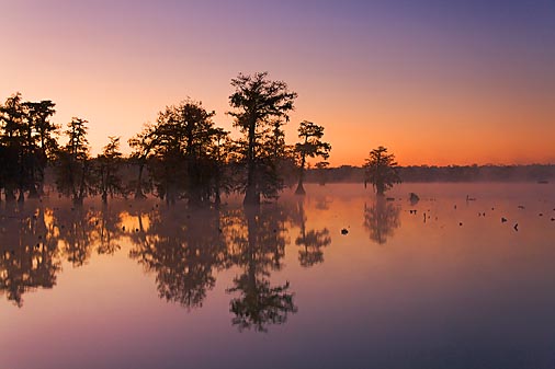 Lake Martin Dawn 26019