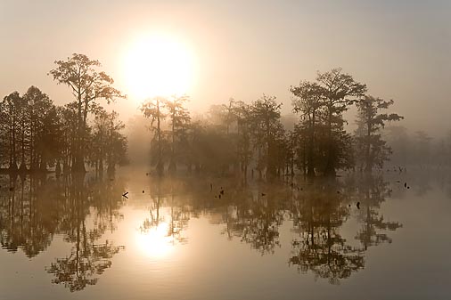 Foggy Lake Martin Sunrise 20081120