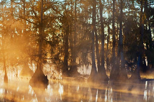 Lake Martin Morning 25870