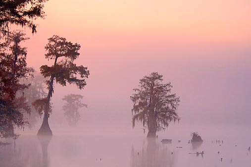 Foggy Lake Martin Dawn 26512-14