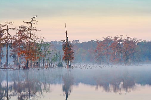 Misty Lake Martin 26661