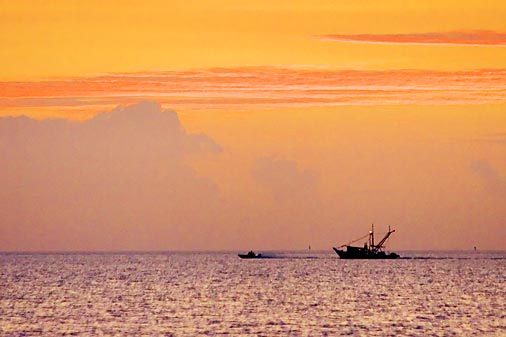 Boats On The Bay 28134