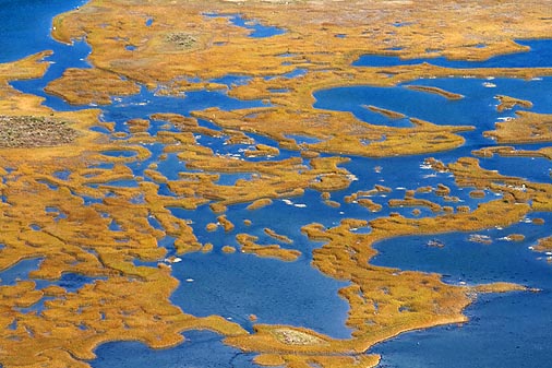 Wetlands 29764