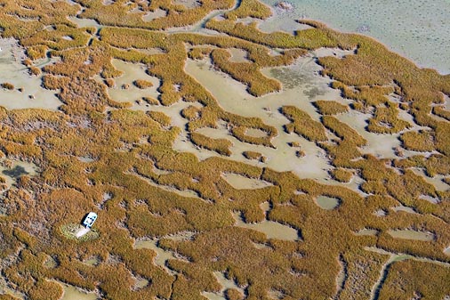 Wetlands 29802