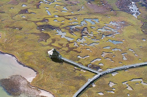 Formosa Wetlands Walkway 29965