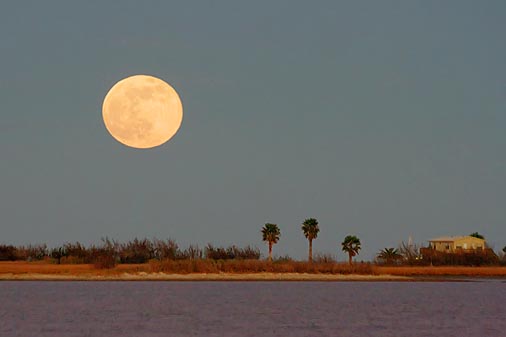 Moonrise Over Indianola 30867