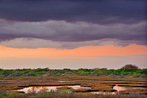 Magic Ridge At Sunrise 30915