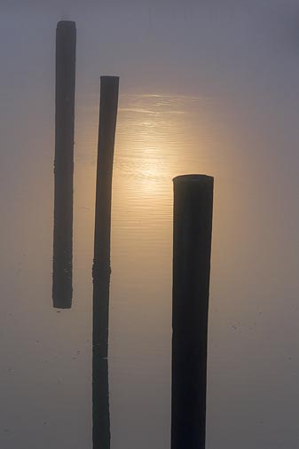 Pilings In Suns Foggy Reflection 20081220