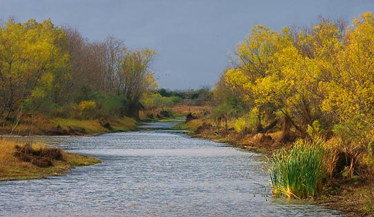 Formosa-Tejano Wetlands 31668