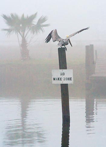 No Wake Zone Sentinel 32478