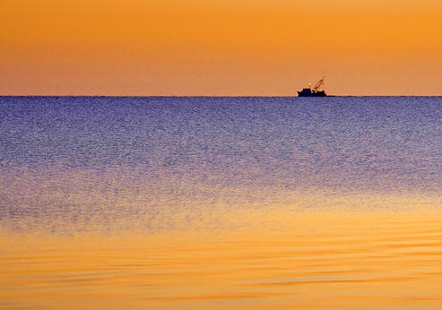 Matagorda Bay At Sunrise 37362