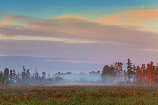 Distant Mist 07937-8