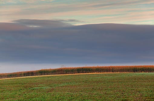 Cloud Bank Over A Cornfield 08877-8