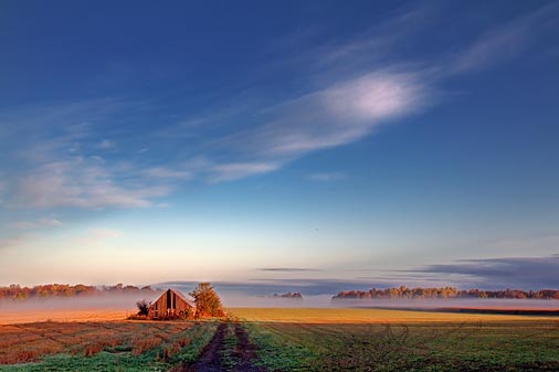 Old Barn At Sunrise 08922