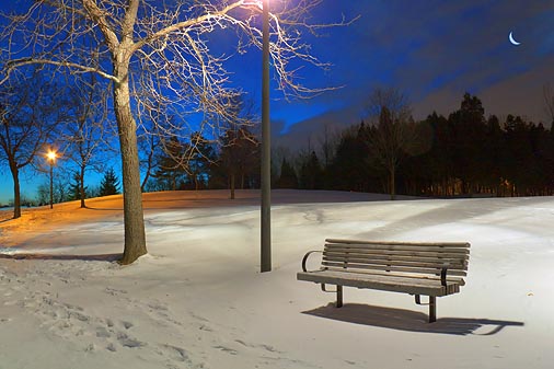 Park Bench In First Light 20091212