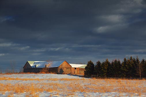 Barns In Winter 11586