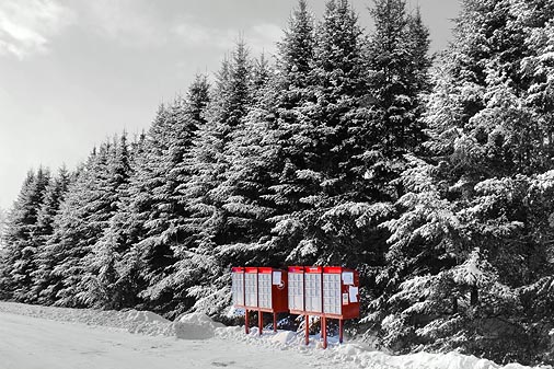 Pine Row Mailboxes 11861
