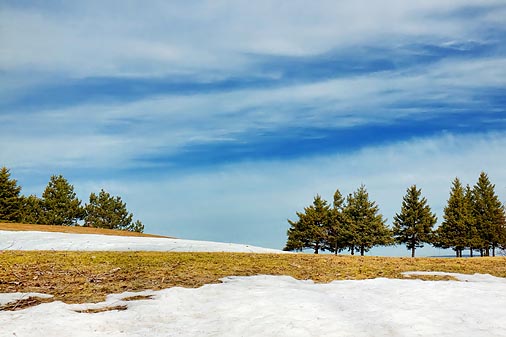 Lingering Snow 15139