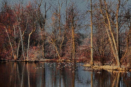 Jock River At Dawn 15516