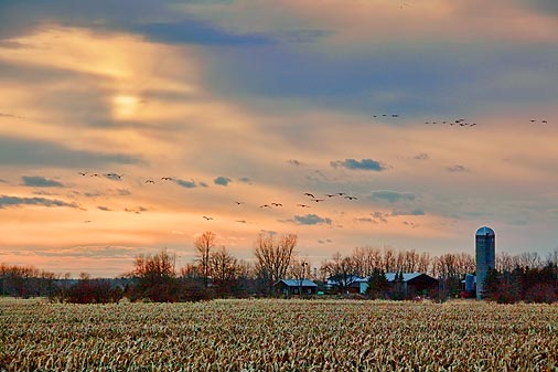 Clouded Sunset 15016