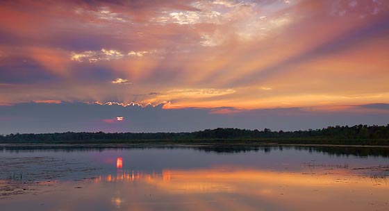 Sunset Sunrays 20658-9