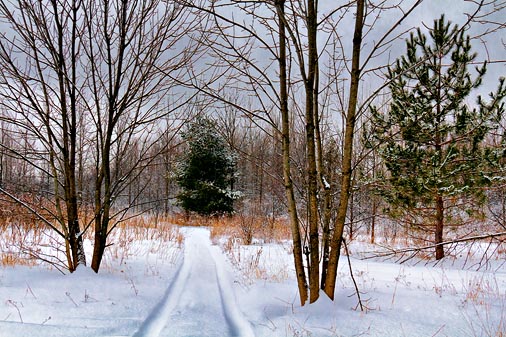 Snowy Trail 20110207