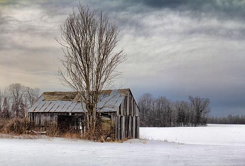 Barn In A Field 05958