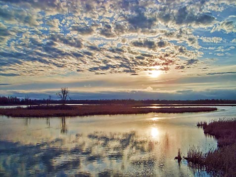 Swale At Sunset 20110502