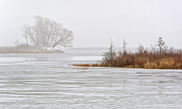 Freezing Rain 20111221