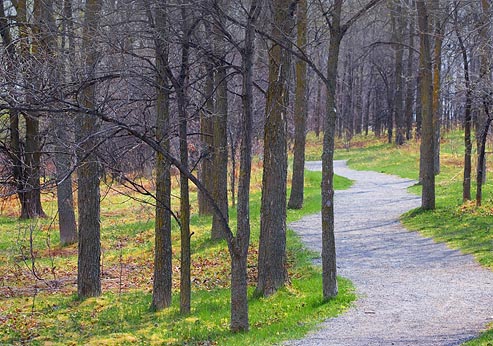 Chapman Mills Pathway 87855