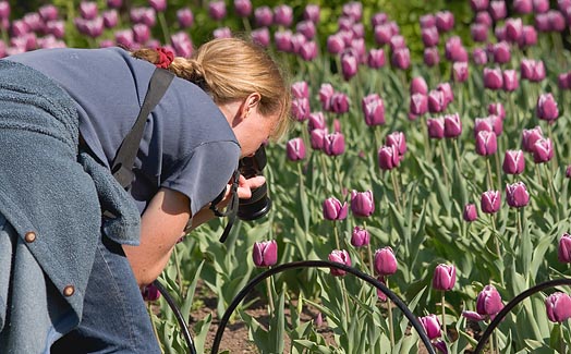 Shooting A Shooter 88949