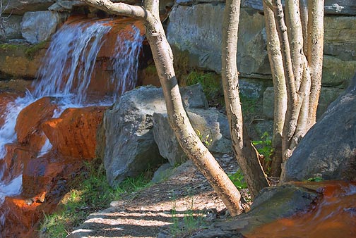 Keeley Falls 13797